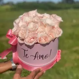 Box Sonho de Algodão