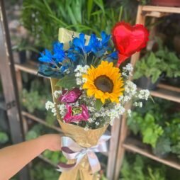 Buque 1 Girassol e Chocolate