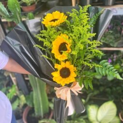 Buquê 3 Girassóis