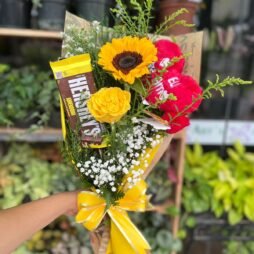 Mimo Solar & Doçura