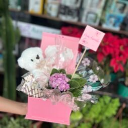 Box Delicadeza Pink (Kalanchoe & Mimos)