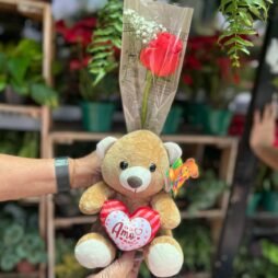 Mimo de Ternura: Rosa & Ursinho Carinhoso