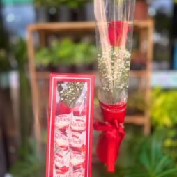 Clássico Apaixonante