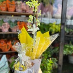 Orquídea com Caneca Personalizada