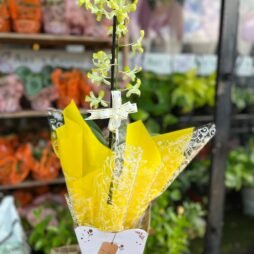 Orquídea Amarela